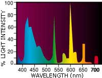 Power-Glo spektras