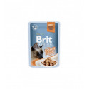 BRIT PREMIUM Cat Delicate Turkey konservai katėms