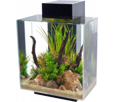 Fluval Edge 46 L