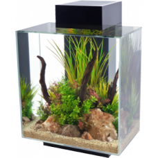 Fluval Edge 46 L