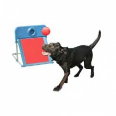 Rosewood pet Flyball