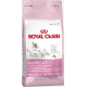 Royal Canin Babycat