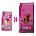 Eukanuba Adult Large Breed Weight Control